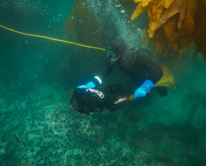 ocean research benefits image